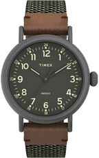 Timex Standard TW2U89700UK